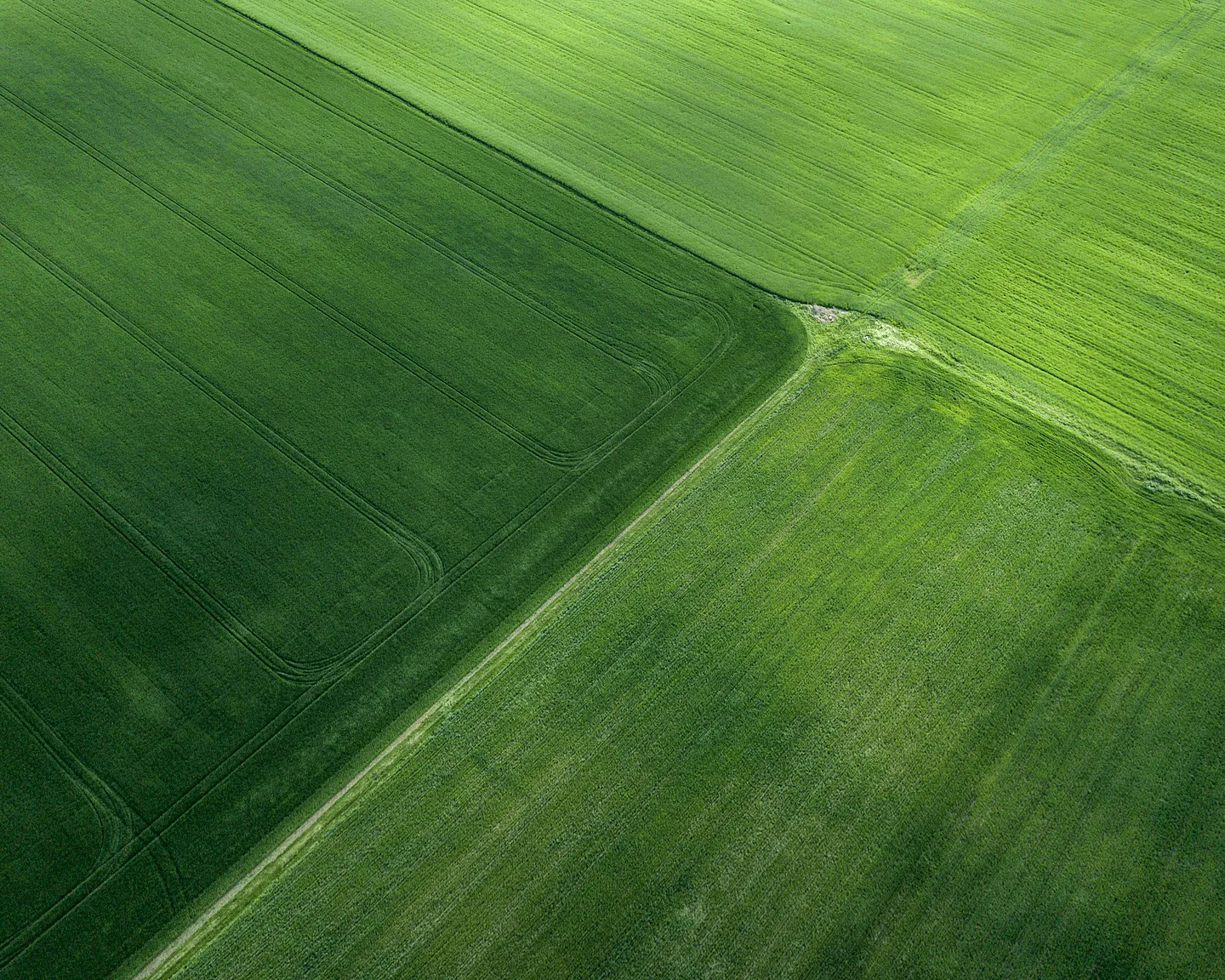 An aerial view of cultivated land divided along a precise diagonal