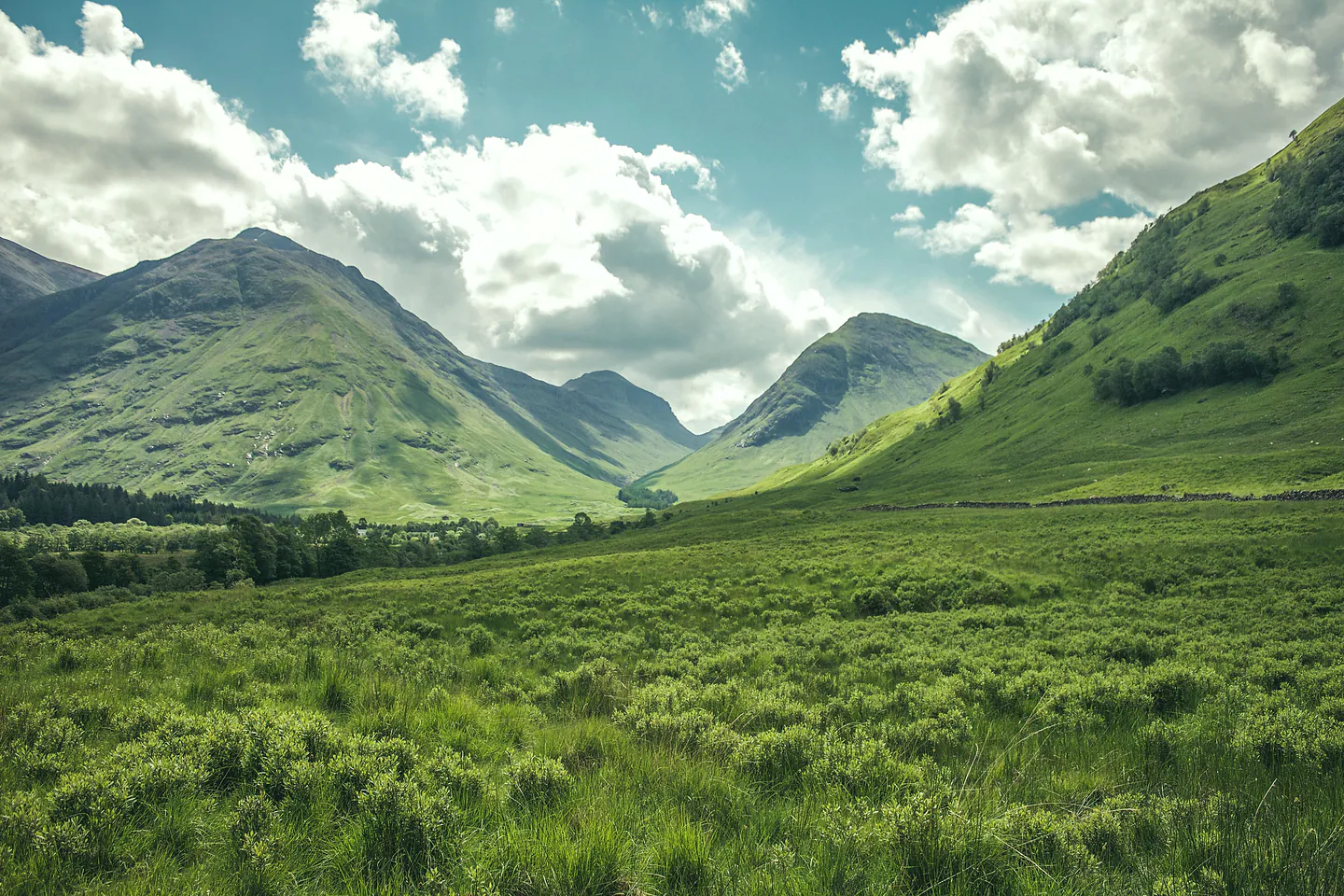 A broad green valley between mountain ridges